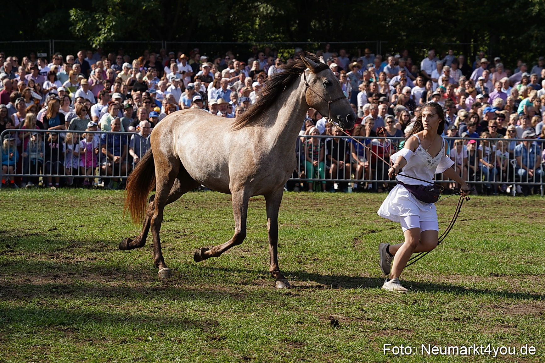 Pferde und Fohlenschau 2022 0161 